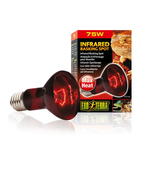 EXO TERRA Infrarot-Spotlampe Heat