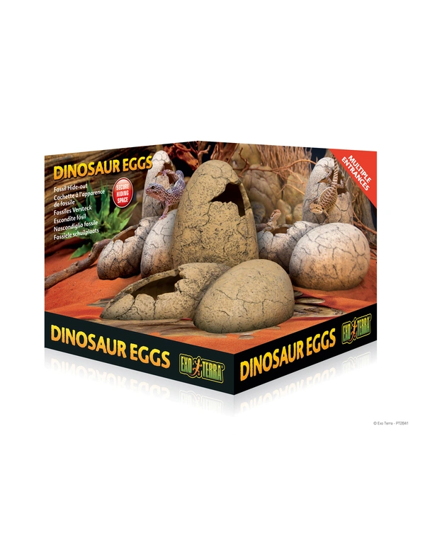 EXO TERRA Ornament Dinosauriereier