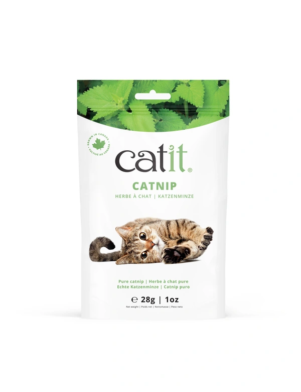 catit Katzenminze