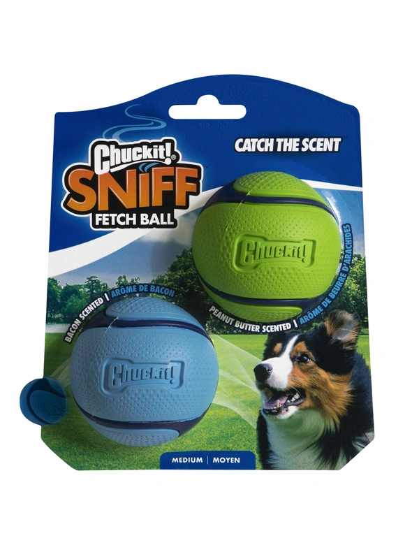 Chuckit! Sniff Ball