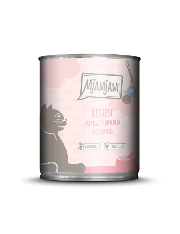 MjAMjAM Kitten