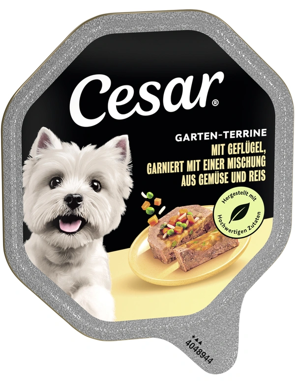 Cesar Garten-Terrine