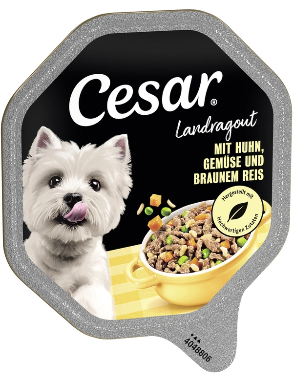 Cesar Landragout