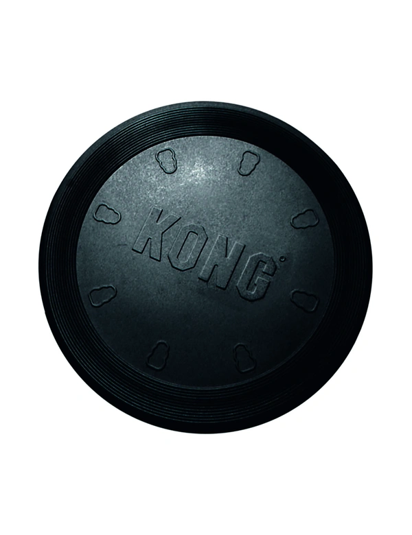 KONG Extreme Flyer
