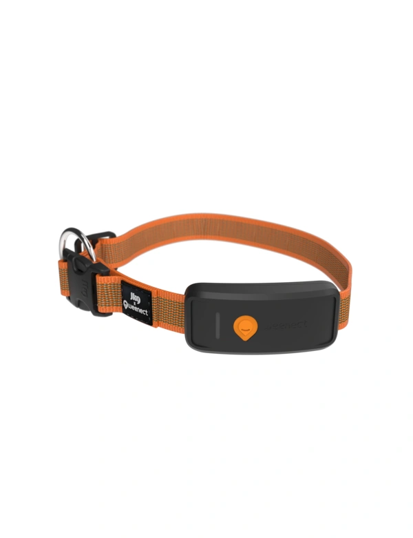 Weenect XT GPS Tracker mit Halsband