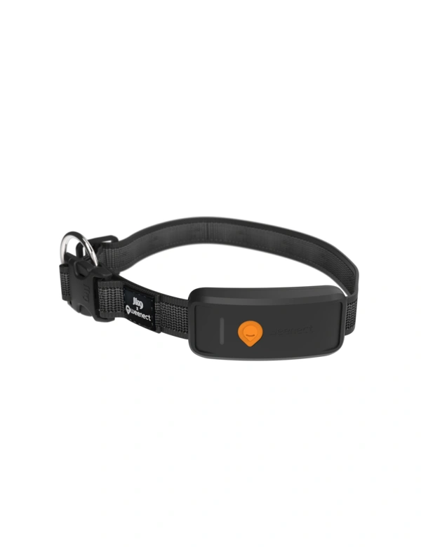 Weenect XT GPS Tracker mit Halsband