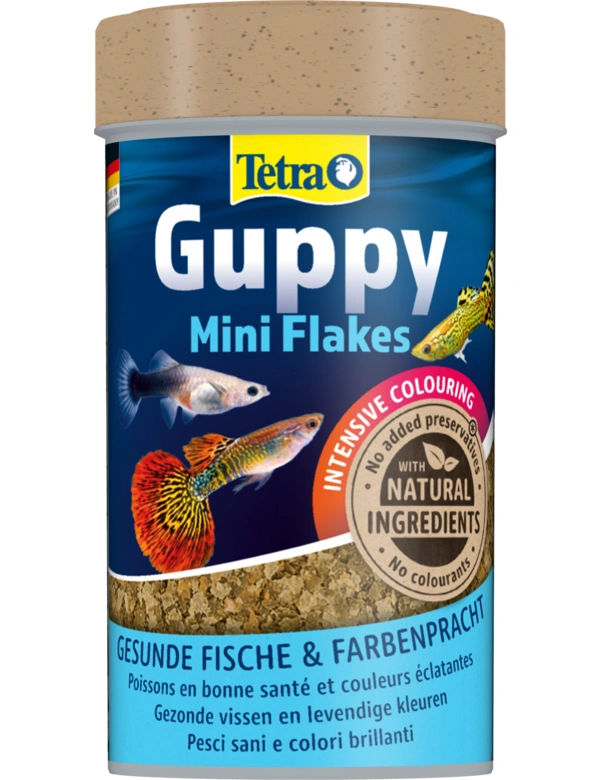 Tetra Guppy