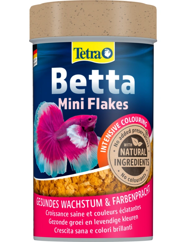 Tetra Betta