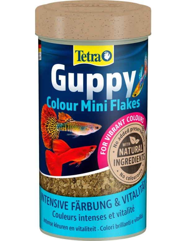 Tetra Guppy Color