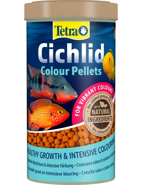 Tetra Cichlid Colour