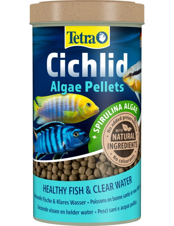 Tetra Cichlid Algae