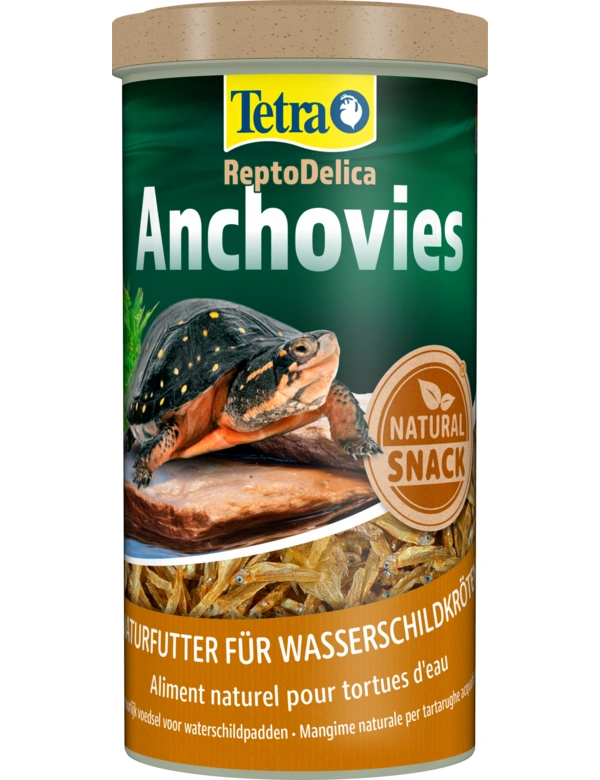 Tetra Anchovies