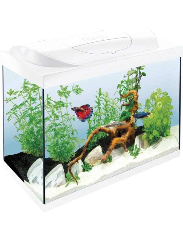 Tetra Starter Line LED Aquarium