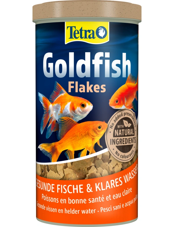 Tetra Goldfish