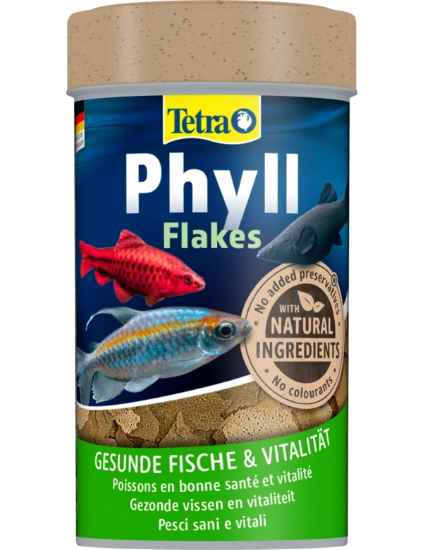 Tetra Phyll