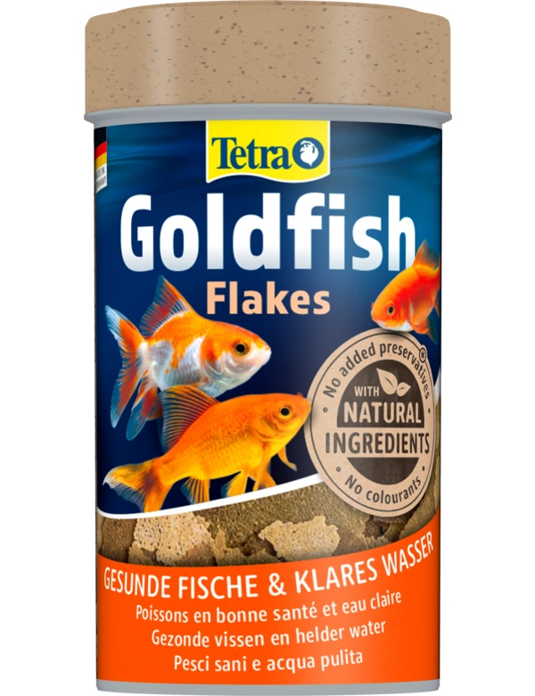 Tetra Goldfish