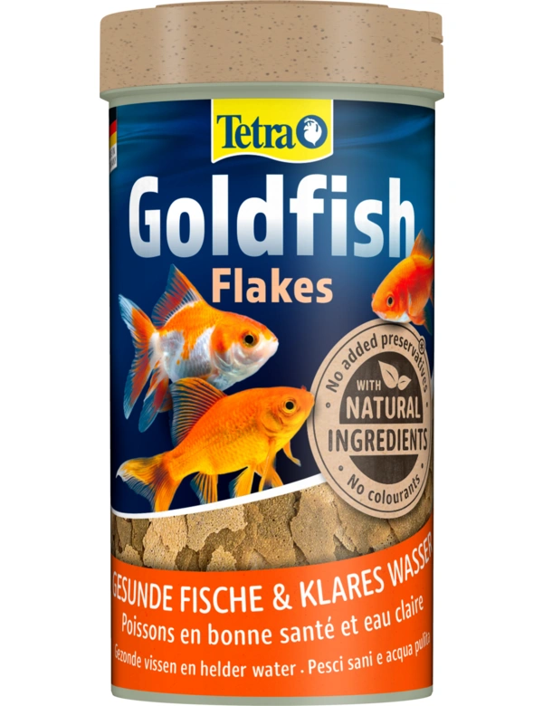 Tetra Goldfish