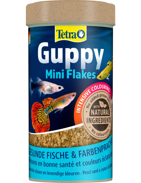Tetra Guppy