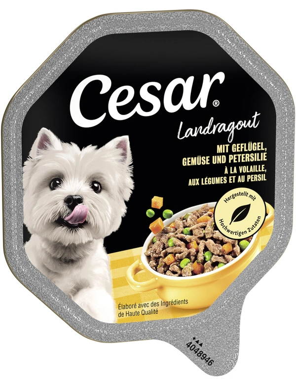 Cesar Landragout