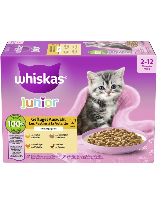whiskas Junior Geflügel Auswahl in Gelee
