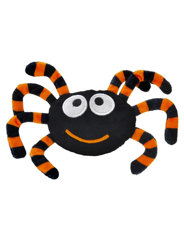 Aumüller Spinne Thekla