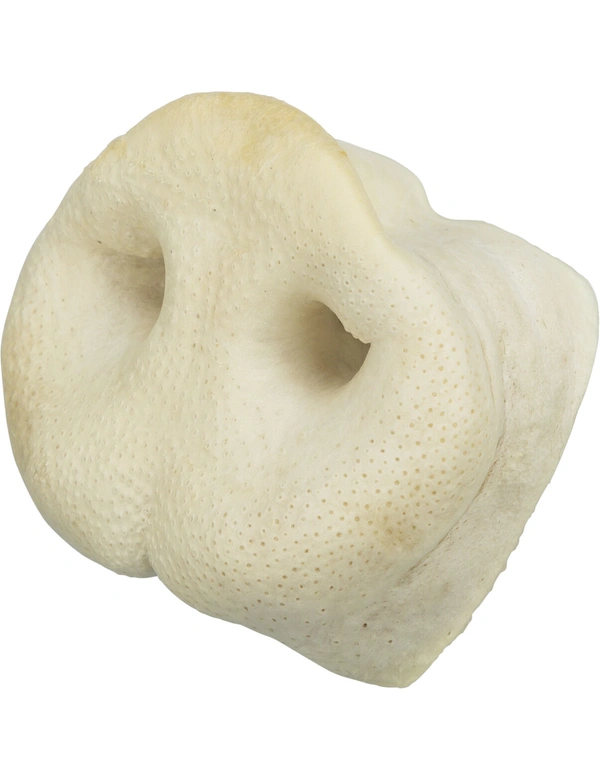 TRIXIE Schweinenase getrocknet