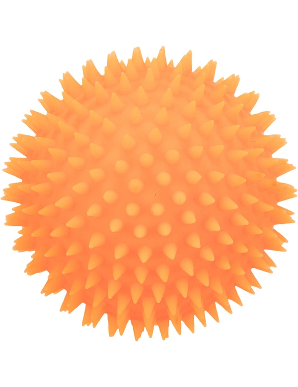 TRIXIE Igelball Vinyl