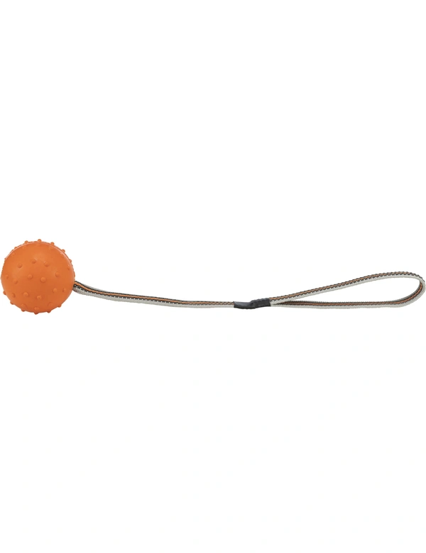 TRIXIE Ball am gummierten Gurt