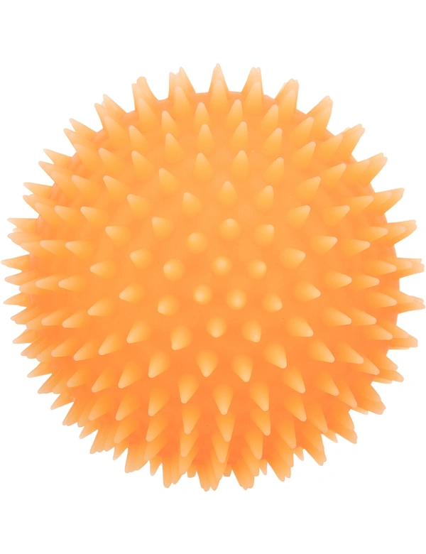 TRIXIE Igelball phosphoreszierend