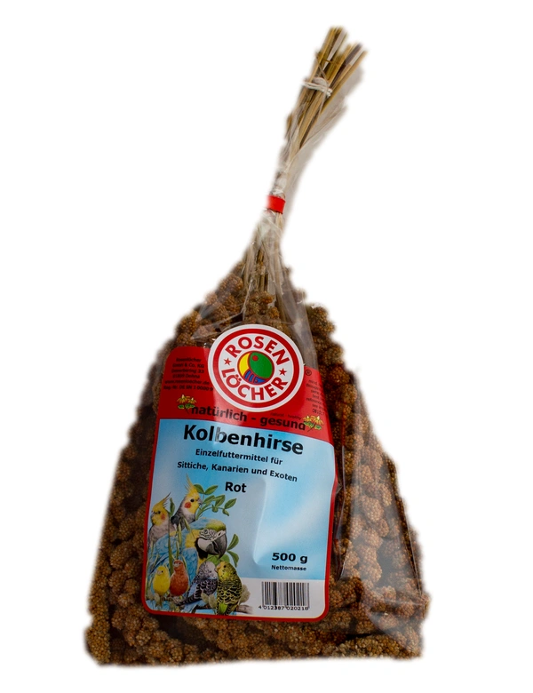 Rosenlöcher Kolbenhirse