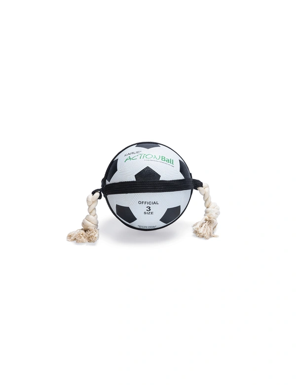 Karlie Action Ball
