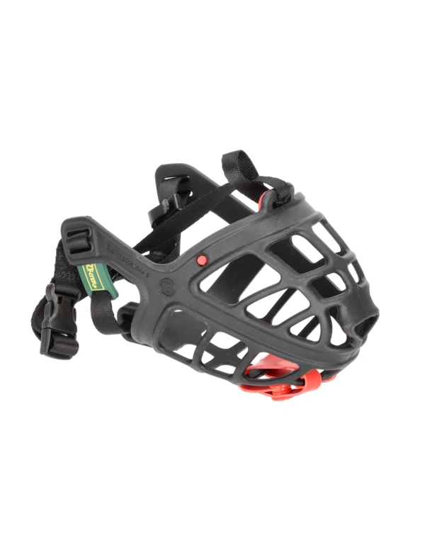 Hunter Maulkorb Albury