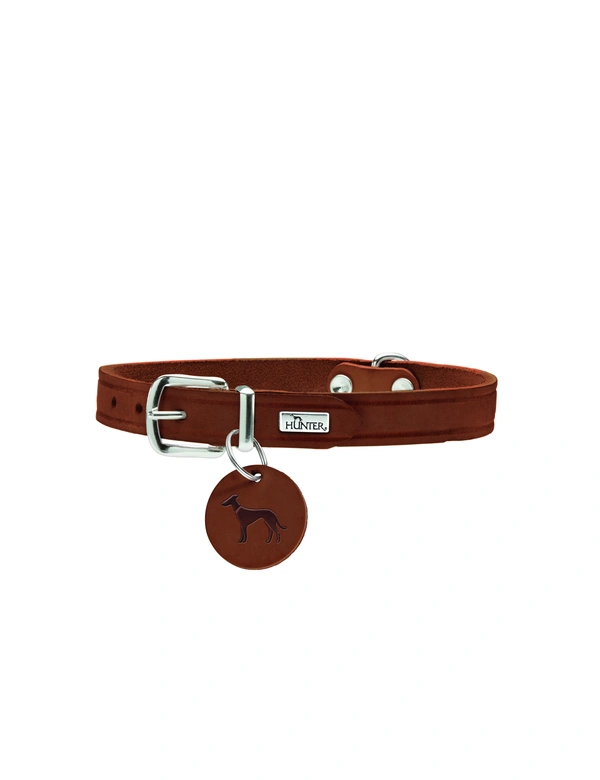 HUNTER Hundehalsband Aalborg