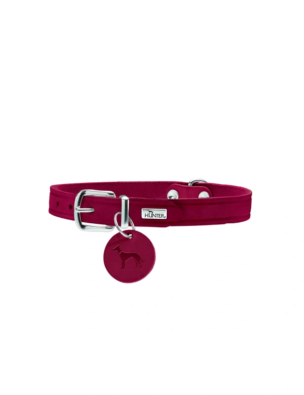 HUNTER Hundehalsband Aalborg