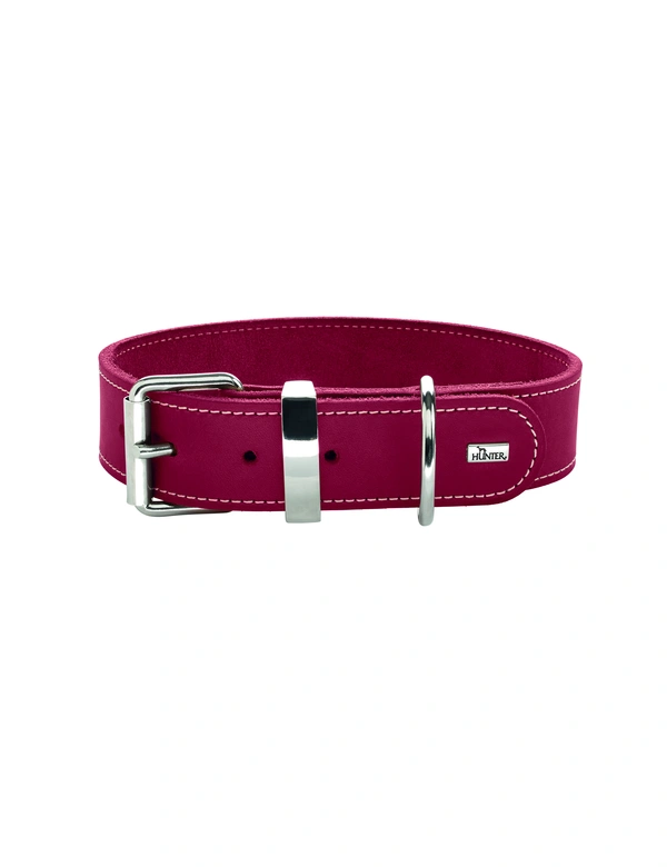 HUNTER Hundehalsband Aalborg Special