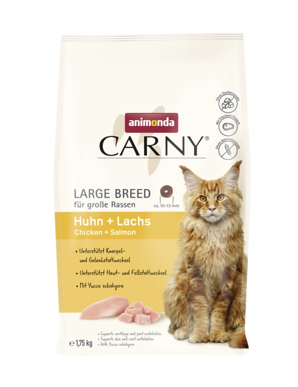 Carny Large Breed