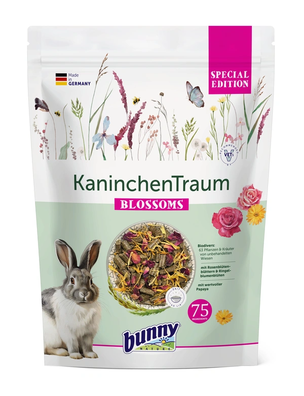 bunny KaninchenTraum Special Edition