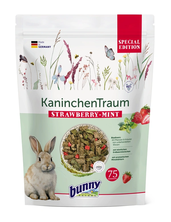 bunny KaninchenTraum Special Edition