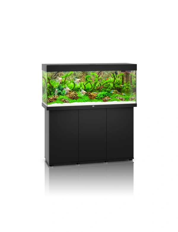 JUWEL Rio 240 Kombi SBX LED