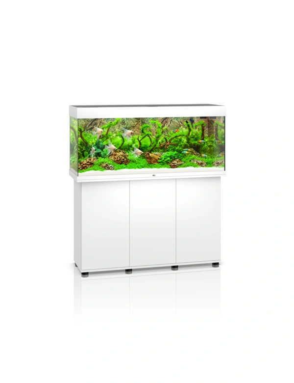 JUWEL Rio 240 Kombi SBX LED