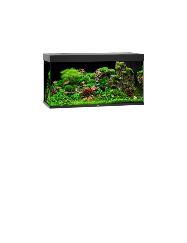 JUWEL Rio 350 Aquarium LED