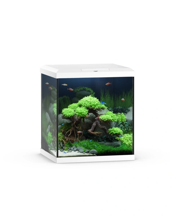 JUWEL Vio Cube 54 Aquarium LED