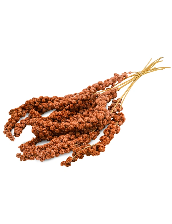 JR Farm Kolbenhirse rot