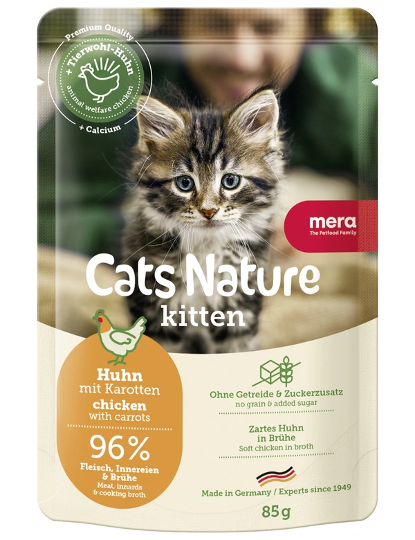 mera Cats Nature Kitten