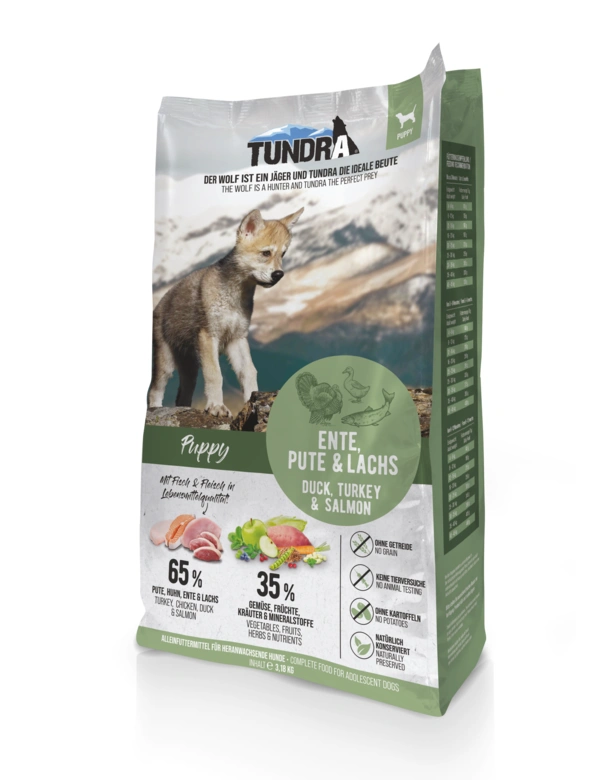 Tundra Dog Puppy