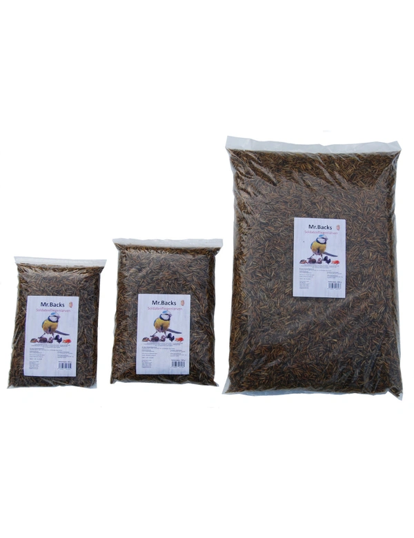 Backs Soldatenfliegenlarven getrocknet