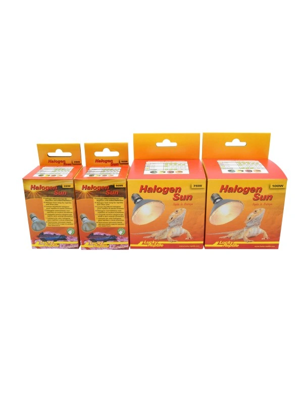 Lucky Reptile Halogen Sun