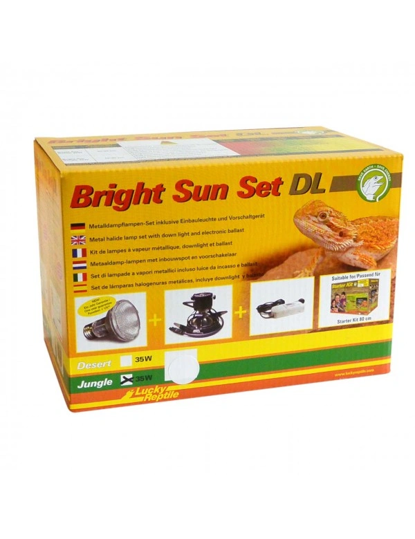 Lucky Reptile Bright Sun Set DL Desert