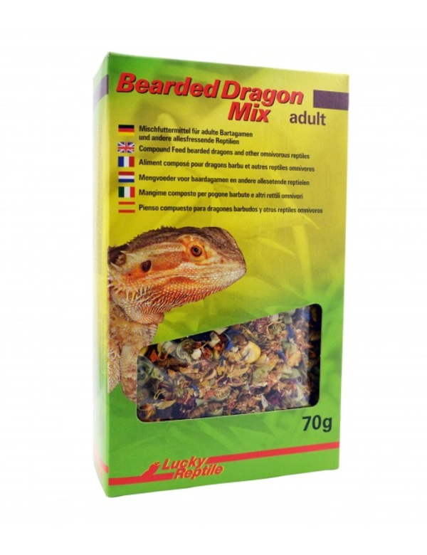 Lucky Reptile Bearded Dragon Mix Adult