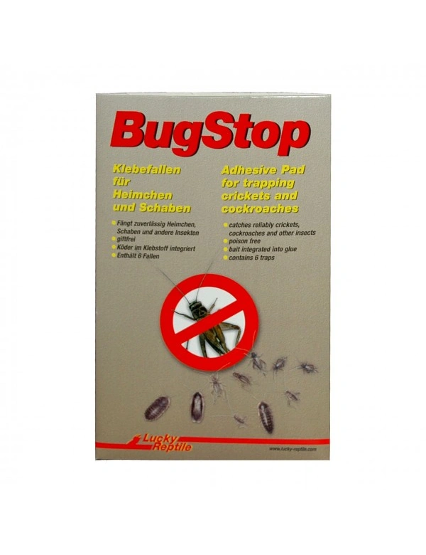 Lucky Reptile Bug Stop - Heimchen Klebefalle